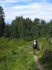 Image showing Backpacker in the nature