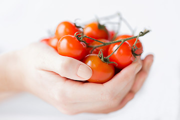 Image showing close up of woman hands holding cherry tomatoes