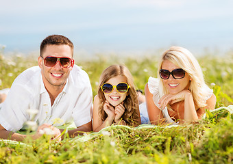 Image showing happy family with blue sky and green grass