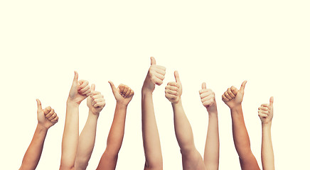 Image showing human hands showing thumbs up