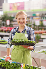 Image showing happy woman holding seedling in greenhouse