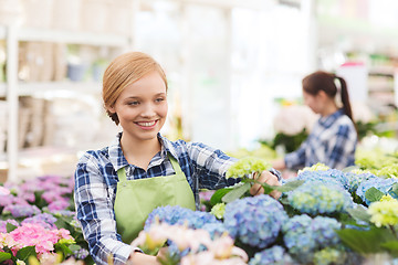 Image showing happy woman taking care of flowers in greenhouse