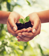 Image showing woman hands holding plant in soil