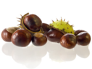 Image showing chestnut