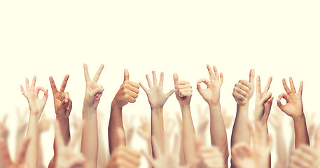 Image showing human hands showing thumbs up, ok and peace signs