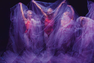 Image showing sensual and emotional dance of beautiful ballerina through the veil 