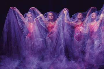 Image showing photo as art - a sensual and emotional dance of beautiful ballerina through the veil 