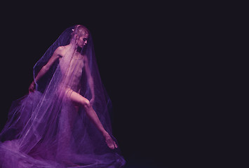 Image showing photo as art - a sensual and emotional dance of beautiful ballerina through the veil 