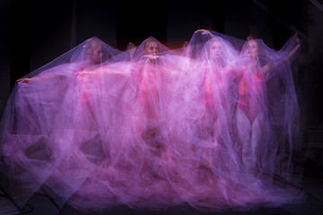 Image showing photo as art - a sensual and emotional dance of beautiful ballerina through the veil 