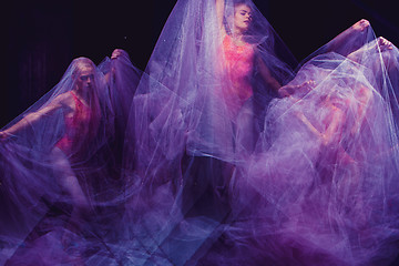 Image showing sensual and emotional dance of beautiful ballerina through the veil 