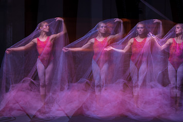 Image showing sensual and emotional dance of beautiful ballerina through the veil 