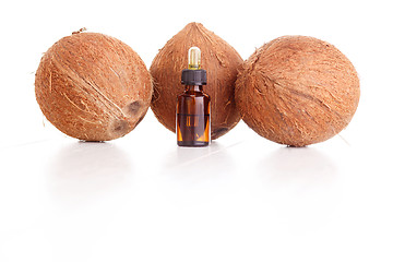 Image showing coconut essential oil