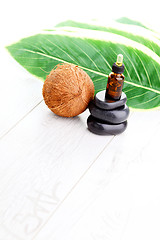 Image showing coconut essential oil