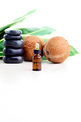 Image showing coconut essential oil