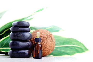 Image showing coconut essential oil