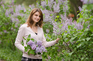 Image showing young girl breaks lilac flowers