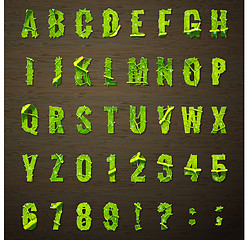 Image showing Letters lettuce leaf. EPS 10