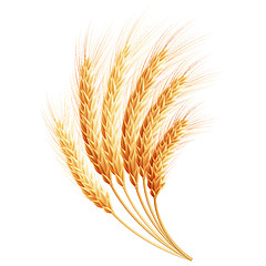 Image showing Wheat ears. EPS 10