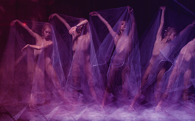 Image showing sensual and emotional dance of beautiful ballerina through the veil 