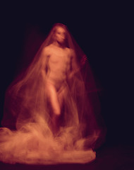 Image showing sensual and emotional dance of beautiful ballerina through the veil 