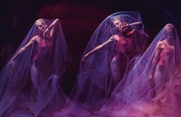 Image showing sensual and emotional dance of beautiful ballerina through the veil 