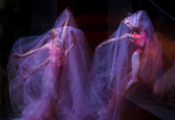 Image showing sensual and emotional dance of beautiful ballerina through the veil 