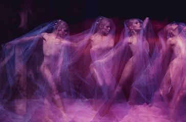 Image showing sensual and emotional dance of beautiful ballerina through the veil 