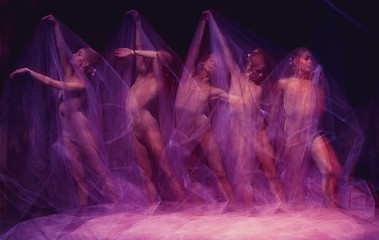Image showing sensual and emotional dance of beautiful ballerina through the veil 
