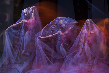 Image showing sensual and emotional dance of beautiful ballerina through the veil 