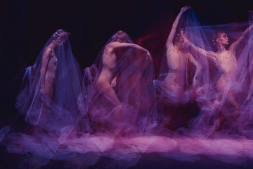 Image showing sensual and emotional dance of beautiful ballerina through the veil 