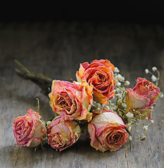 Image showing Dried rose 