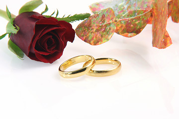 Image showing red rose and rings