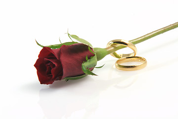 Image showing rose and rings