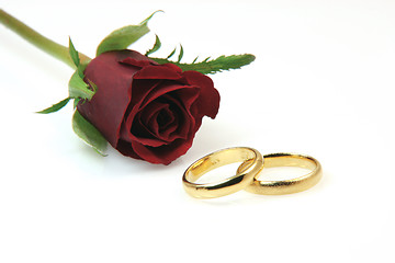 Image showing gold rings and rose