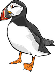 Image showing atlantic puffin cartoon illustration