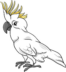 Image showing cockatoo parrot cartoon illustration