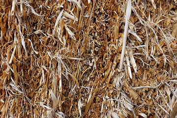 Image showing Straw bale background