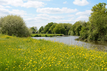 Image showing River flowing through a meadow