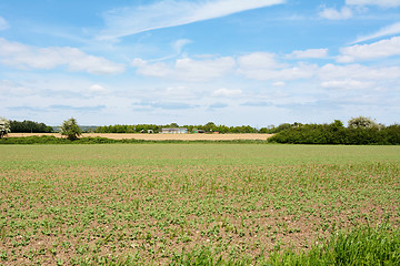 Image showing Farmland with agricultural buildings beyond