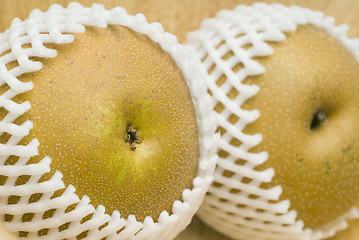 Image showing asian pears in shipping net