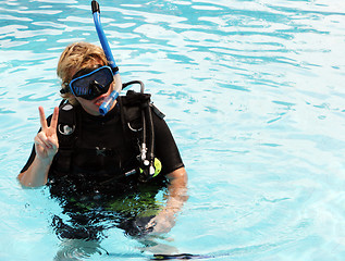 Image showing Scuba diver