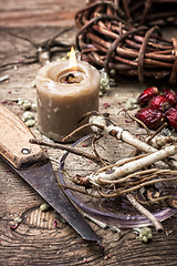 Image showing medicinal herbs and roots