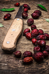 Image showing rose hips