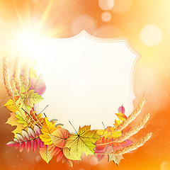 Image showing Autumn background with colorful leaves. EPS 10