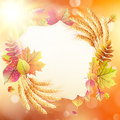 Image showing Autumn background with colorful leaves. EPS 10