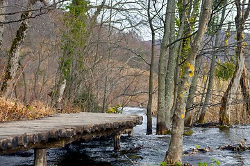 Image showing Wooden path trough the lakes