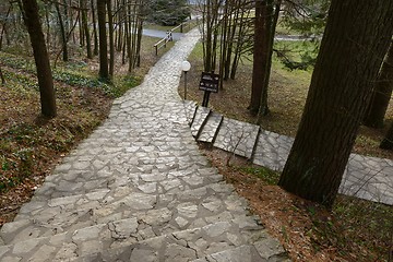 Image showing Small Pathway going trough the forest