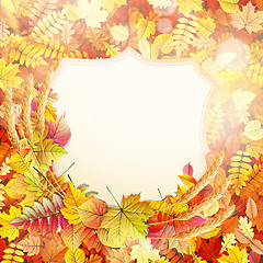 Image showing Autumn background with colorful leaves. EPS 10