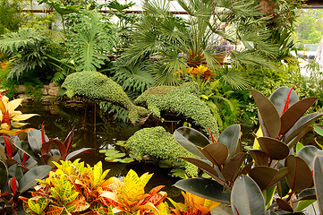 Image showing Dolphin made from plants.