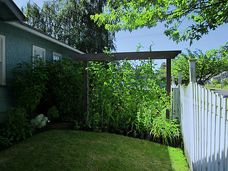 Image showing Home Landscaping